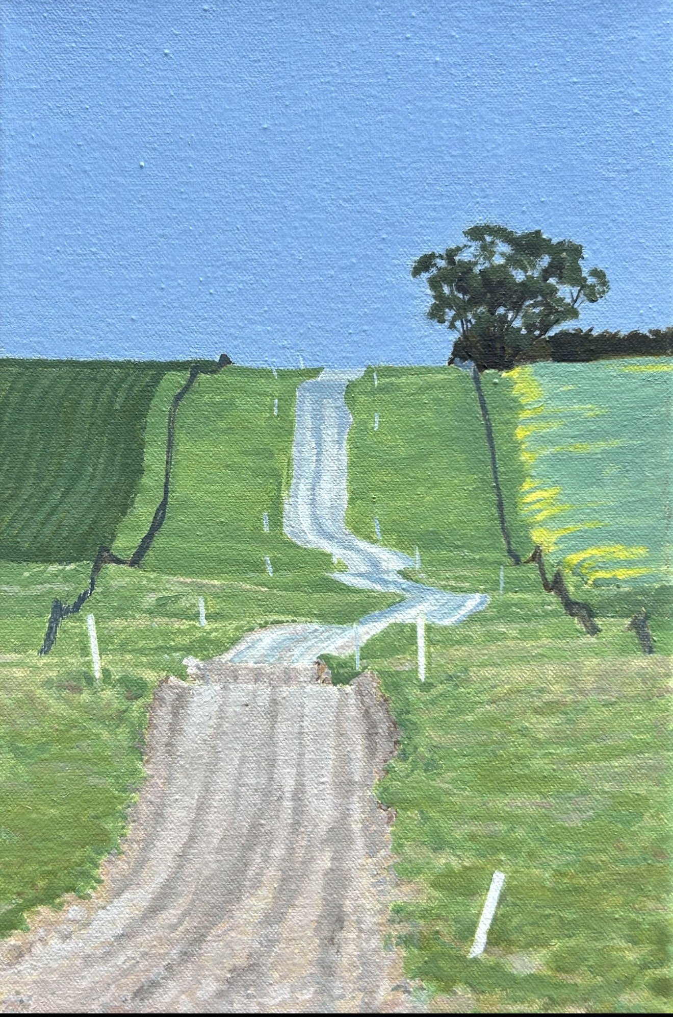 Lumpy Track 30.5 x 20.5cm oil on canvas $900