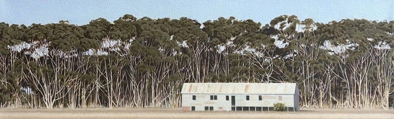 Dry Shed 20.5 x 61cm oil on canvas $1750