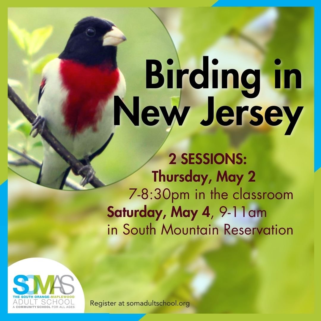 Birding in NJ.jpg