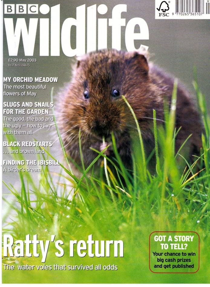 3 BBC Wildlife Mag Cover Water Vole.jpg