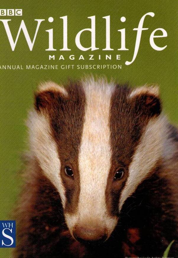4 BBC Wildlife Mag Subscription Bager.jpg