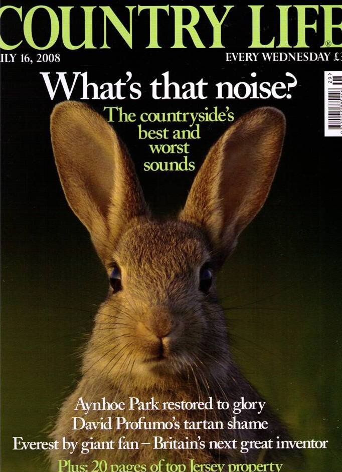7 Country Life Mag Cover Rabbit.jpg