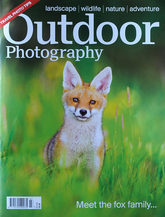 12 OP fox cover (2).jpg