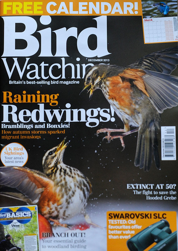 23 Birdwatching_cover_AP1 (2).jpg