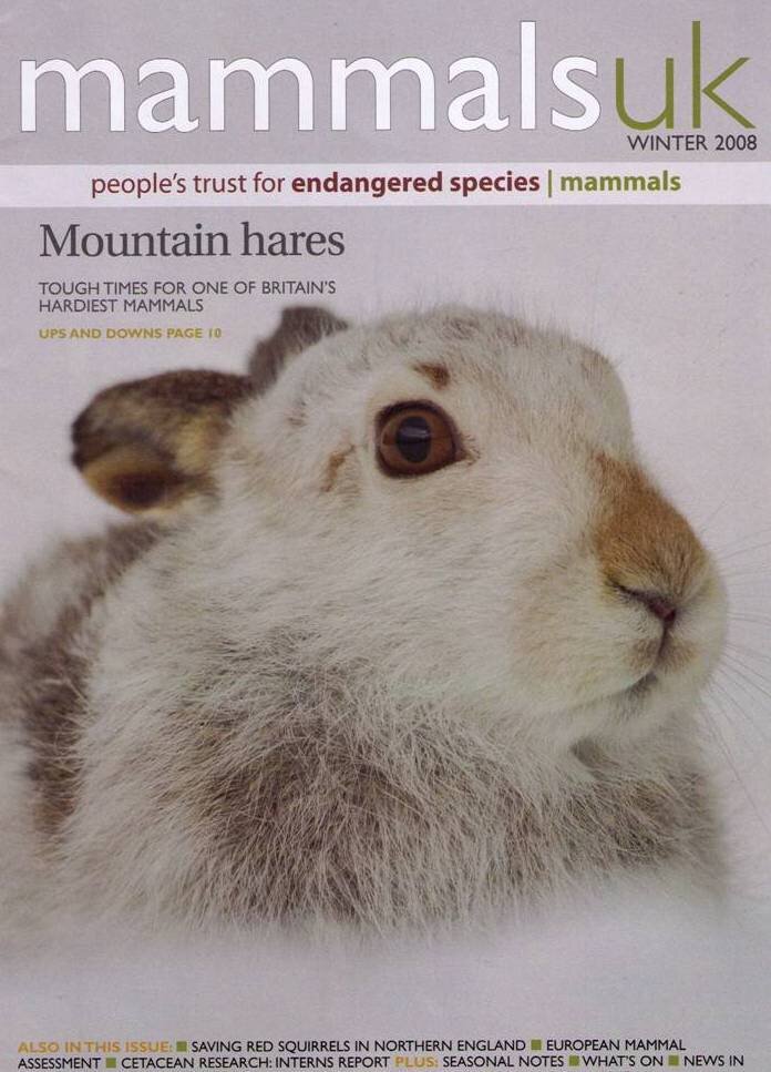 26 Mammals UK Cover Mountain Hare.jpg