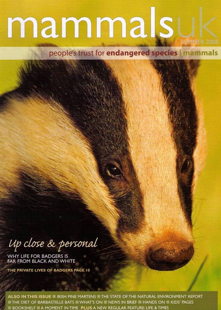 27 Mammals UK Cover Badger Portrait.jpg