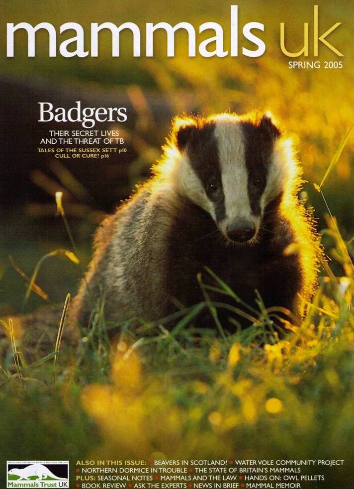 29 Mammals UK Cover Badger Backlit.jpg