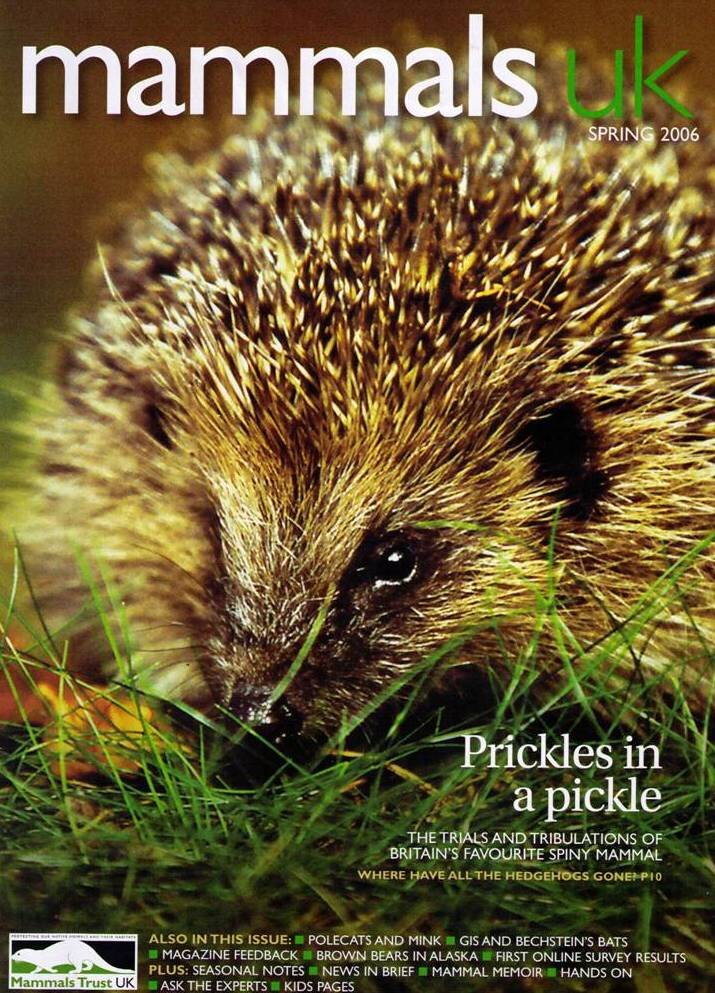 30 Mammals UK Cover Hedgehog.jpg