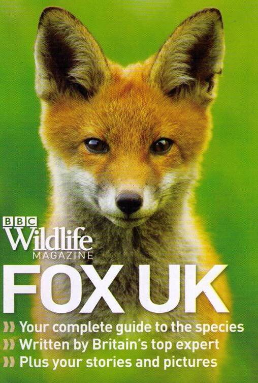31 BBC Wildlife Mag Subscription Red Fox.jpg