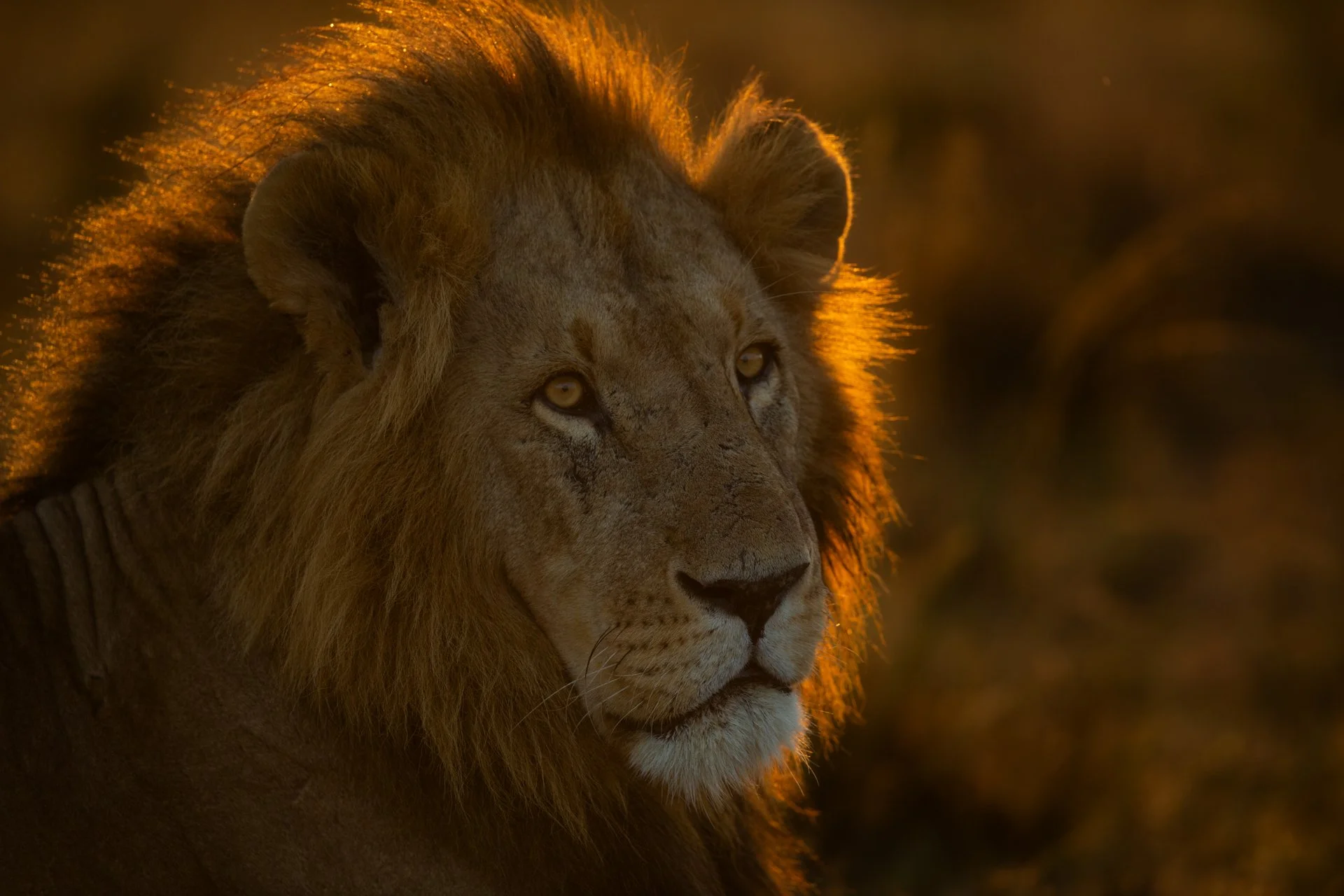 SERENGETI NATIONAL PARK – TANZANIA 2027 (10 NIGHTS) TRIP 2