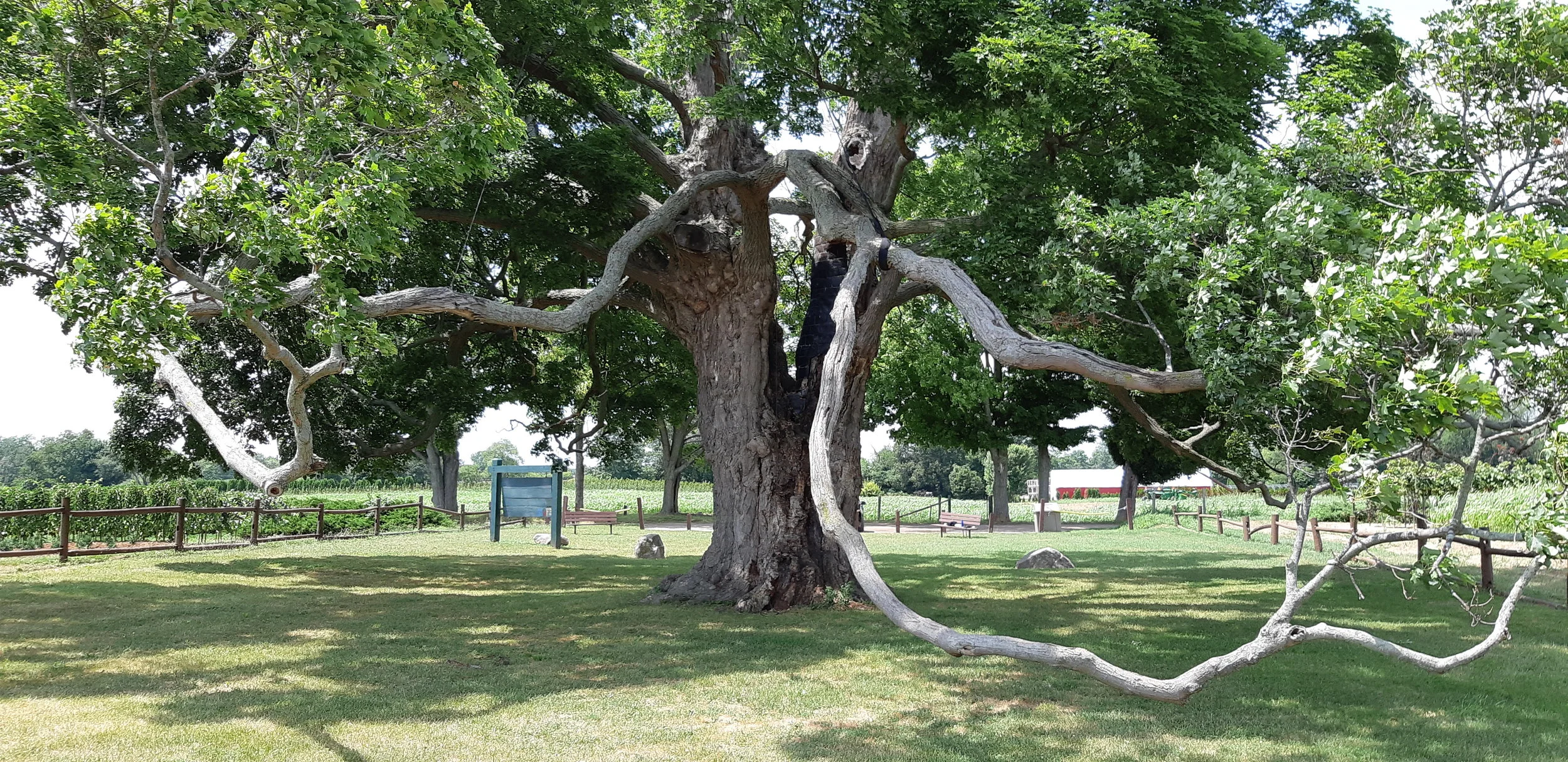 20180724_131350.jpg