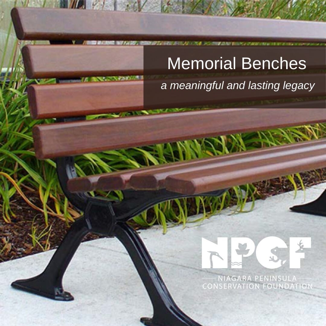 Through our Memorial Program, you can honour the memory of a loved one while supporting the endeavours of the NPCF and enhancement of the visitor experience at NPCA parks.

We currently offer bench installations at our conservation areas that include