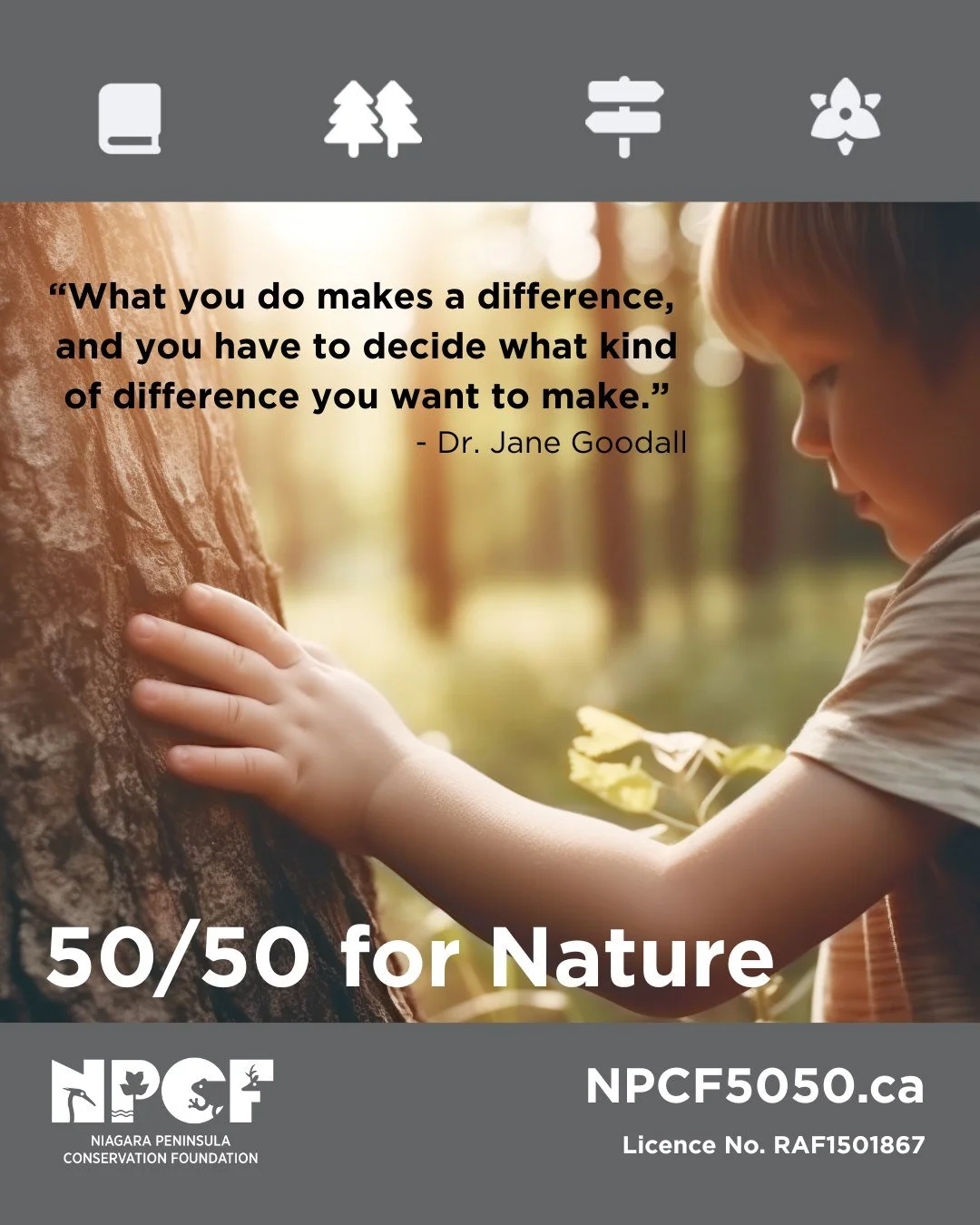 Is local nature something you are thankful for? 
🌲 Let's keep Niagara green 🌳 

The NPCF 50/50 for Nature raises funds for important conservation work within the Niagara Peninsula watershed. 
Have you got YOUR tickets? 🎟️ There is still time to bu