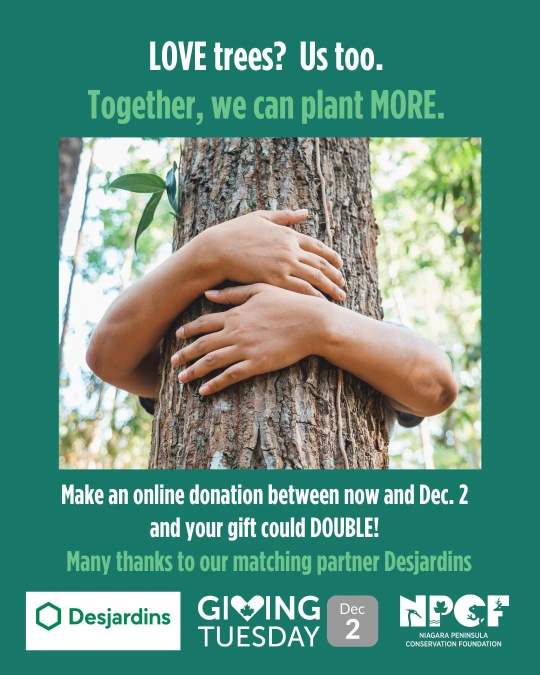 It's COMING!
Giving Tuesday is Dec. 2 - in just two weeks! 
Will you join the global movement? 
If you want to make a difference for Nature in Niagara - there's no better time.

This year, Desjardins will be matching donations made to NPCF, up to $50