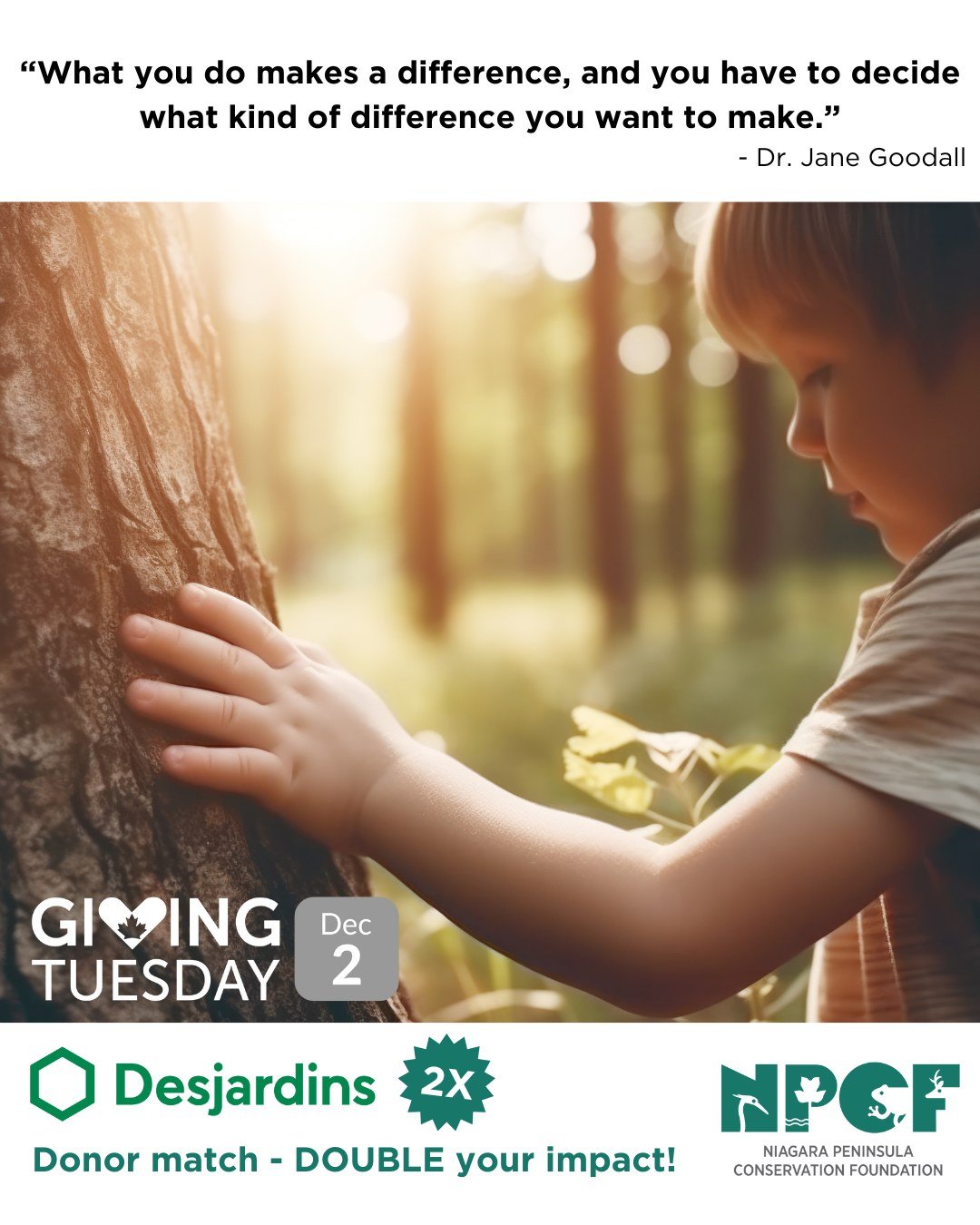 After #BlackFriday comes #CyberMonday. Then comes #GivingTuesday. 

Giving Tuesday is a global movement that helps amplify generosity. It's a time to consider what matters most to us - a time to take meaningful action. 

The Niagara Peninsula watersh
