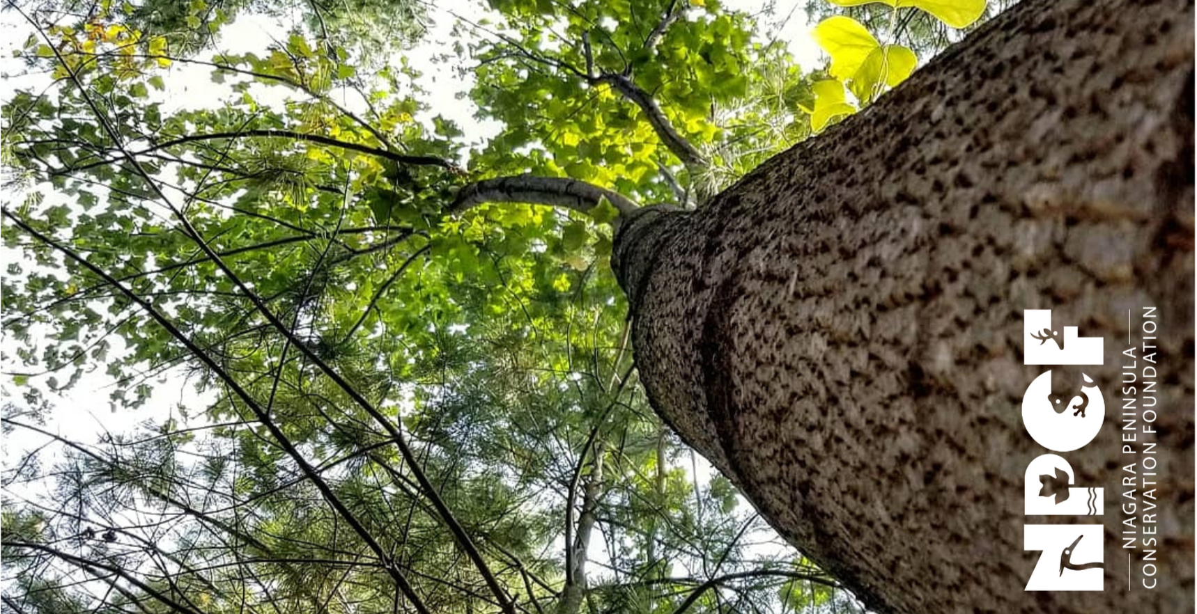 Understanding Proposed Provincial Changes to Conservation