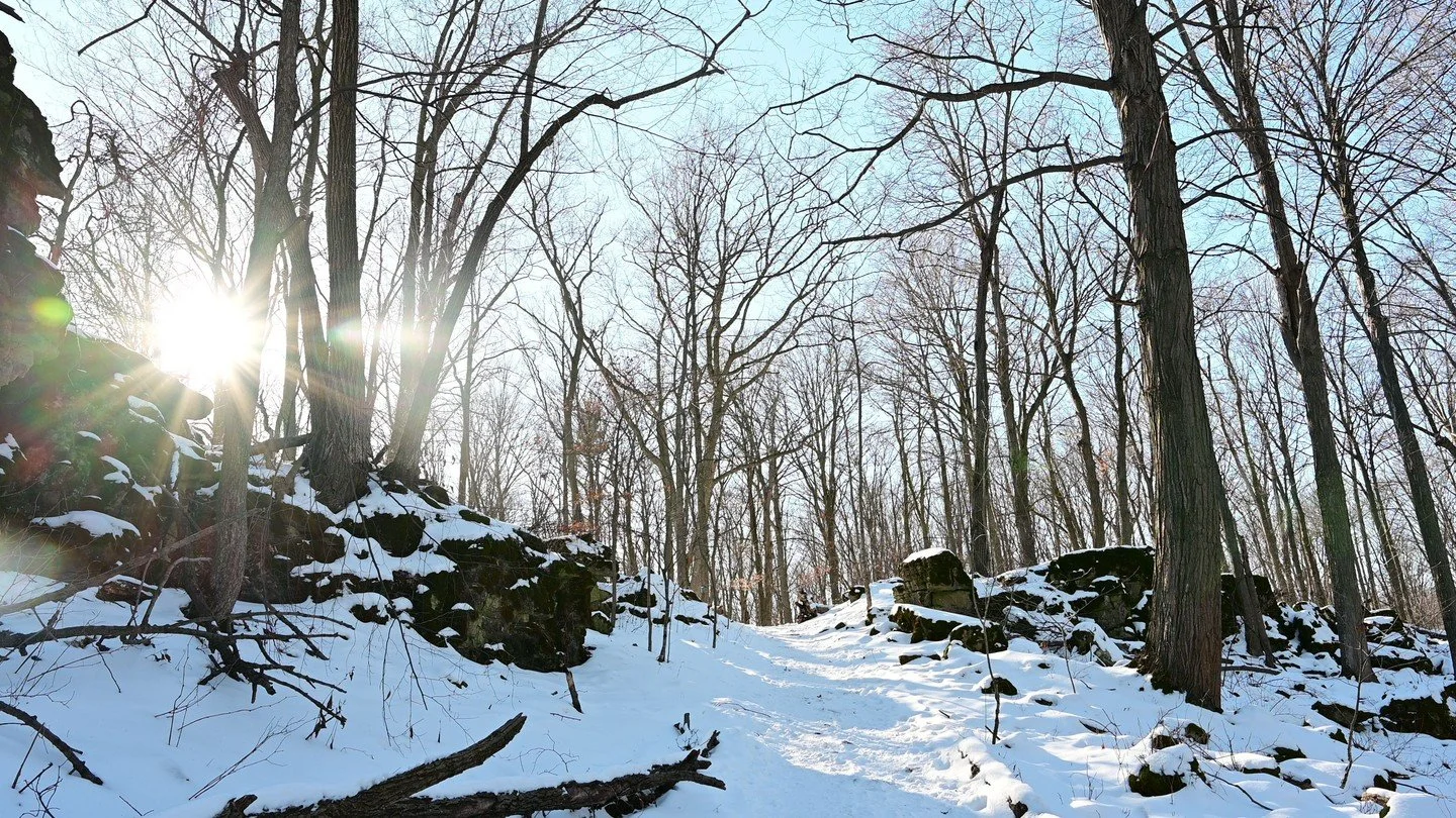 Running out of time to find that perfect gift? 🎁 
This holiday season, let nature inspire your giving.

From snow-covered forests to quiet trails, give a gift that helps protect the beautiful natural spaces we all escape to.

Send an e-card of your 