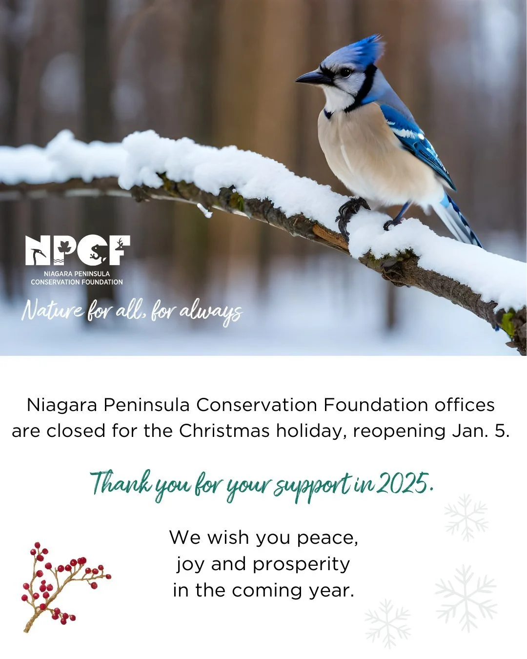 Winter is here, and so are the holidays! 🕯️❄️ 🎄 
NPCF is embracing the season of rest. Our offices will be closed Dec. 22 - Jan. 2. 

We look forward to working together with you in 2026 to care for nature across the Niagara Peninsula watershed. 

