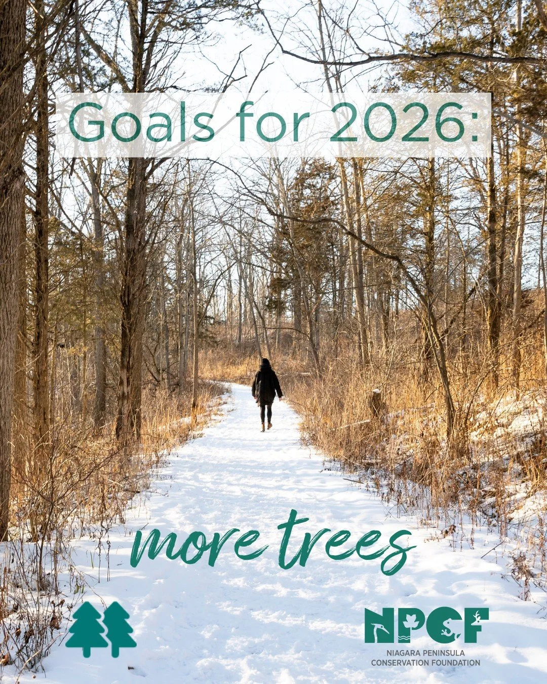 Happy New Year! 🥳 
Got goals for 2026 yet? We do.

NPCF is steadfast in our vision of Nature for All, for Always. 
This year, we will continue to support conservation within the Niagara Peninsula watershed, which includes safeguarding existing natur