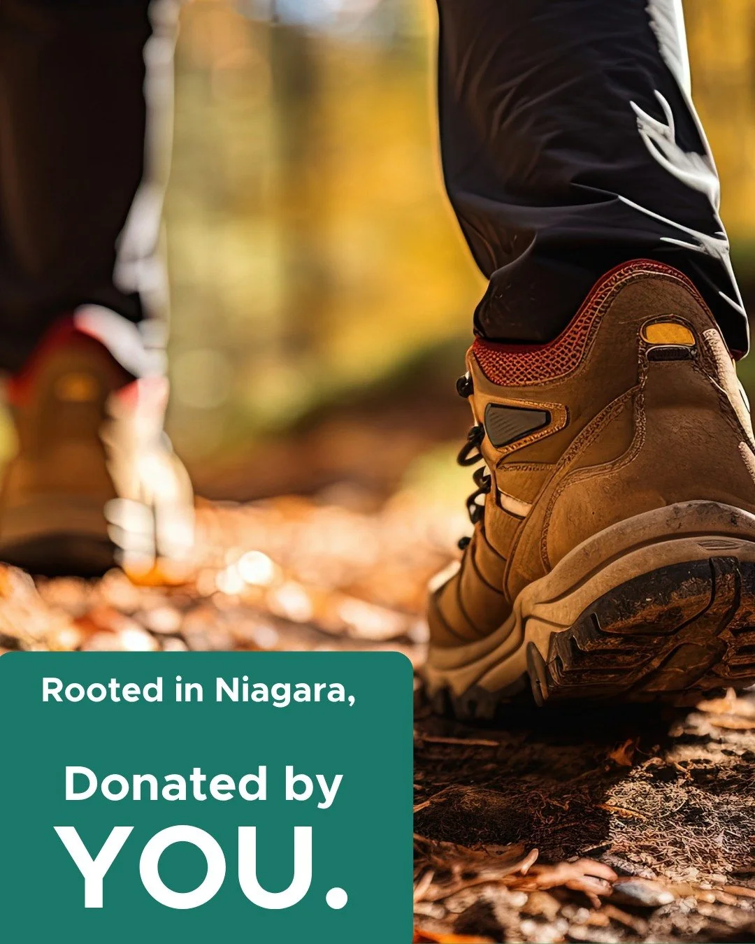 If you love living in Niagara, help us keep it beautiful and green.🌳

From the escarpment to our local wetlands, the Niagara Peninsula watershed gives us a safe quiet space to enjoy nature right within our backyard. This Earth Month, we're inviting 