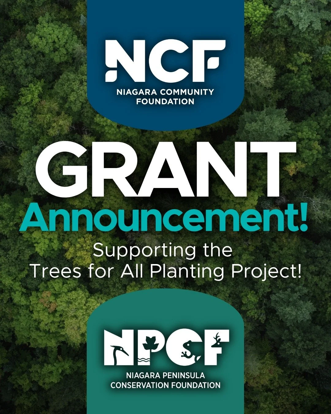 🌳 Big news for Trees for All 🌳 

We&rsquo;re proud to share that the Niagara Peninsula Conservation Foundation has received a $65,000 grant from the Niagara Community Foundation. 

This support helps us expand tree planting across the Niagara Penin