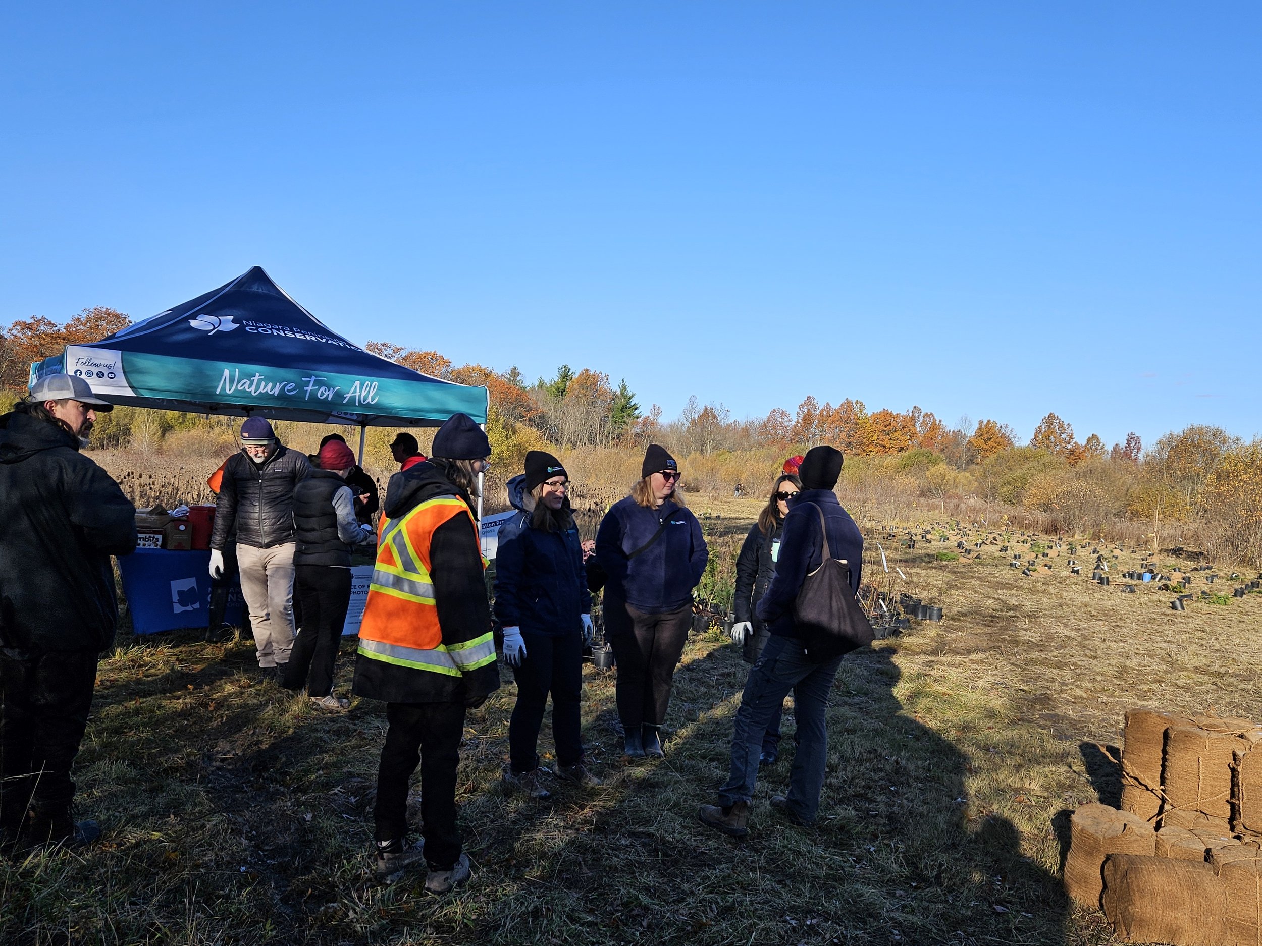 Seaway Planting - Smith-Ness Conservation Area