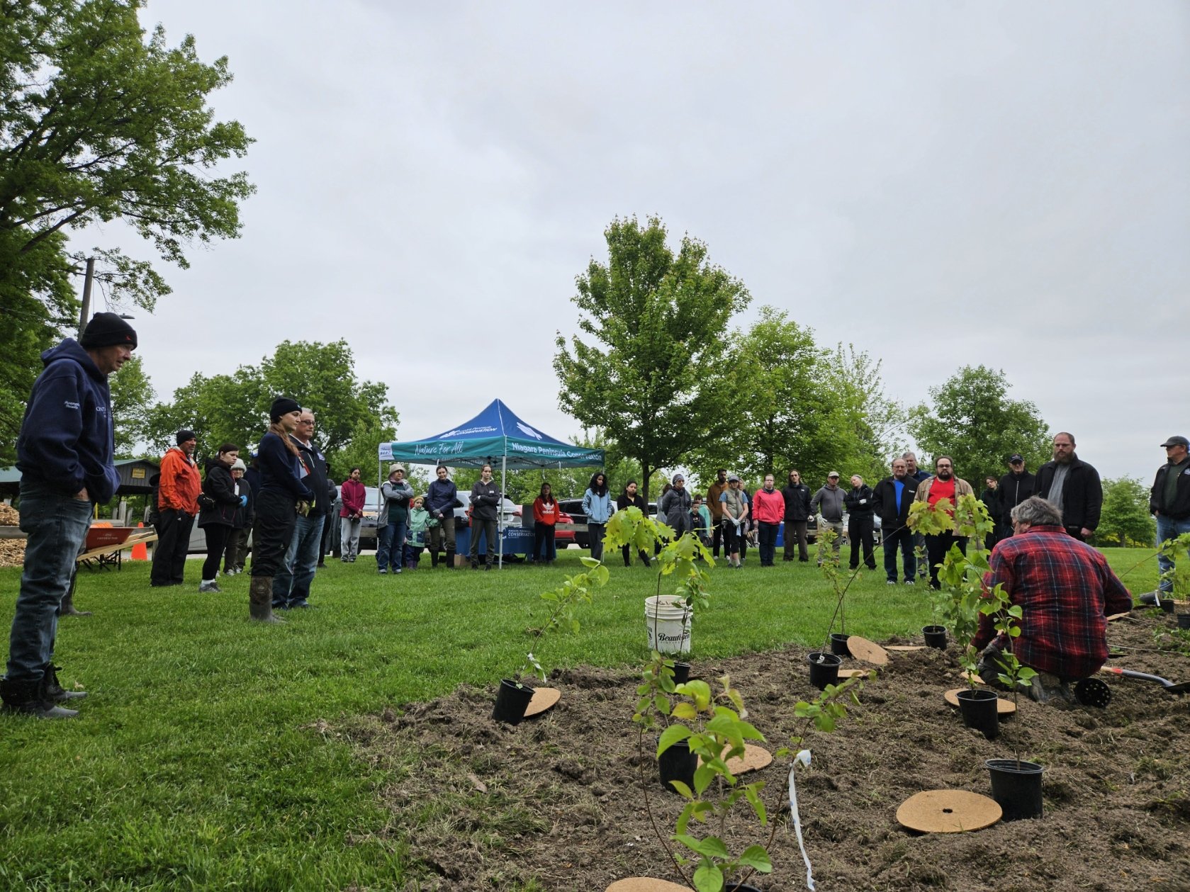 Rotary Tree Planting - Burgoyne Woods