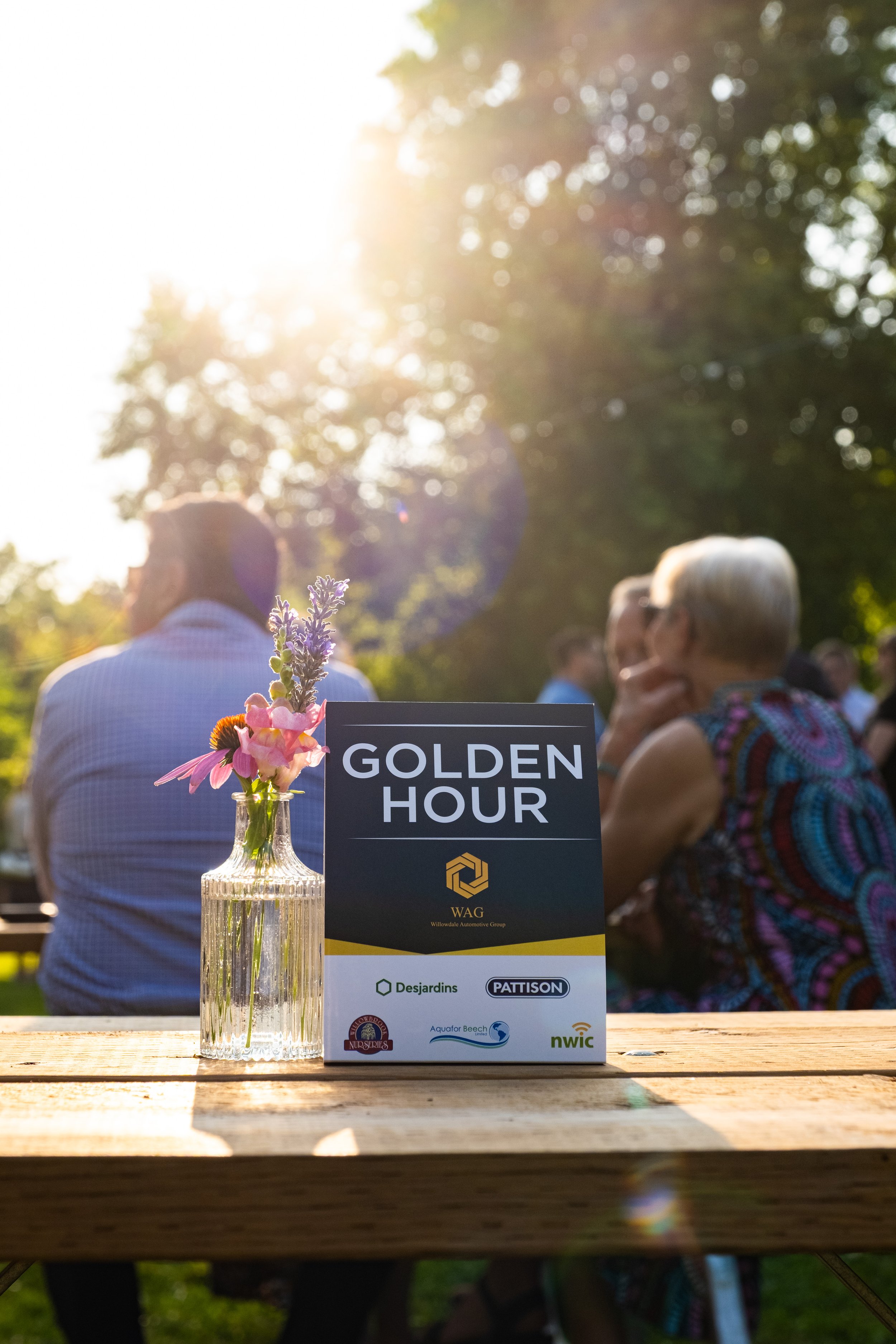 Golden Hour 3.jpg