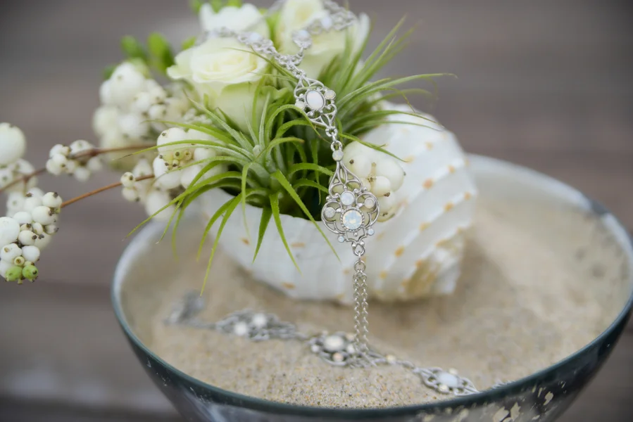 __dani.finephotographyampimagestudio_dani_0_low.jpg