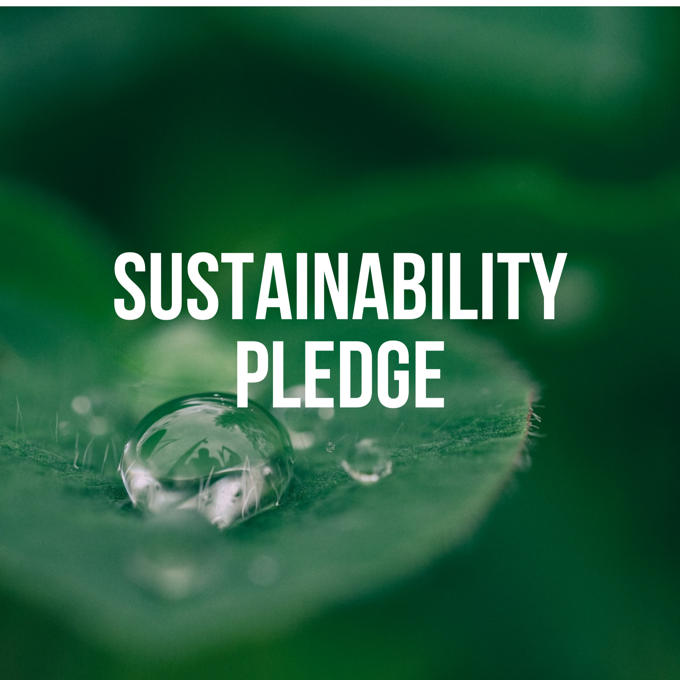 Sustainability Pledge