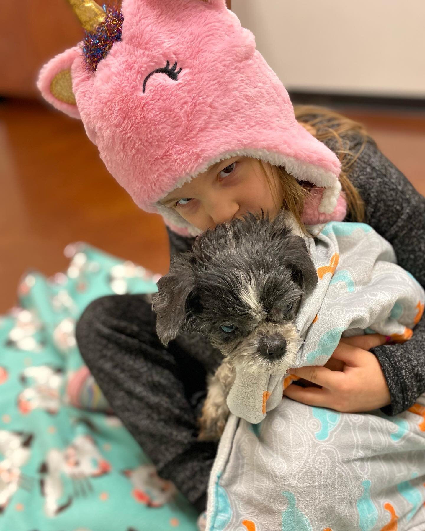 FRIENDS &amp; FAMILY! #GTMD23 is almost here &amp; early giving has OPENED! 🤩

If you are new around here, I am the Founder &amp; Director of Grey Face Rescue &amp; Retirement, a foster-based senior animal rescue here in St. Cloud, Minnesota but we 