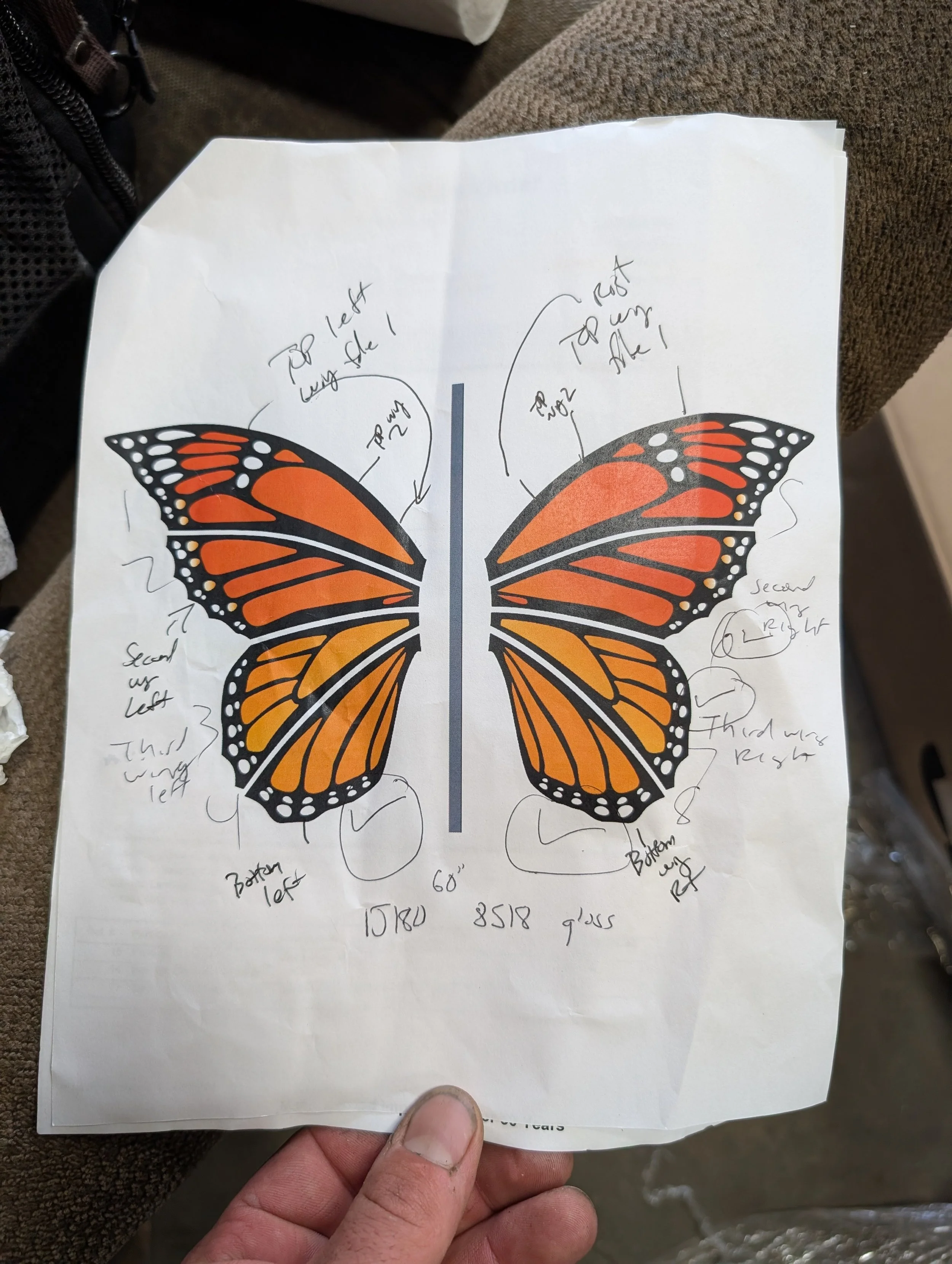 Butterfly - Drawing.jpg