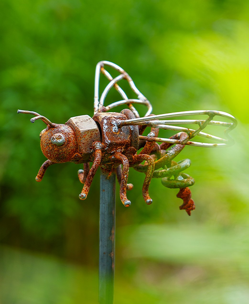 Wildflower - Insect 1.jpg