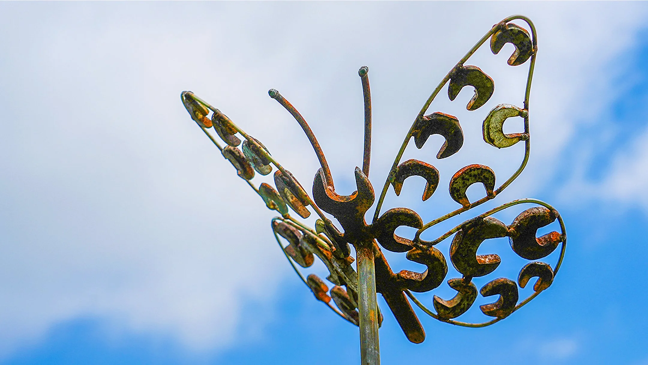 Wildflower - Butterfly.jpg
