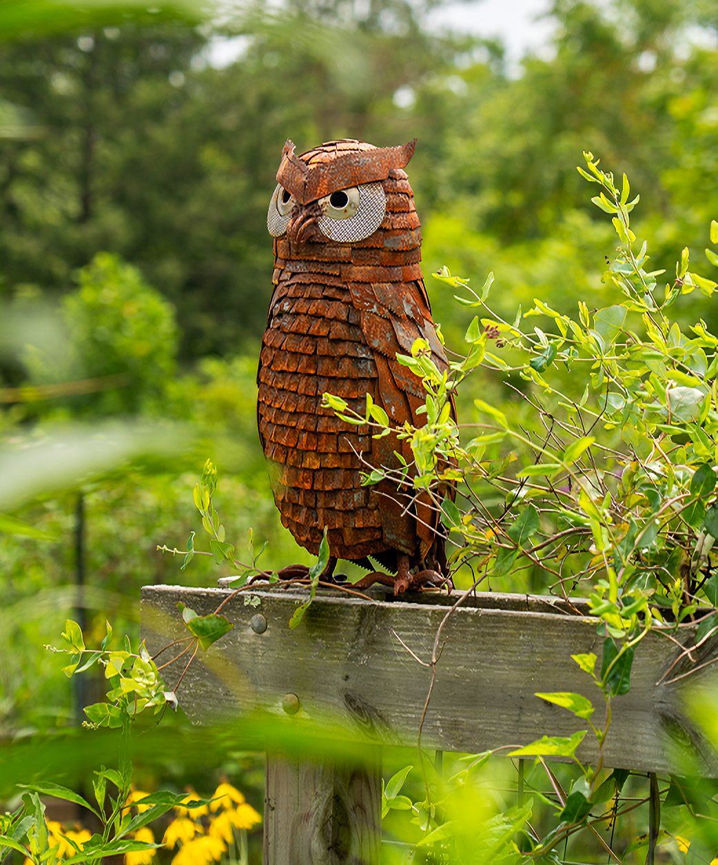 Wildflower - Owl.jpg