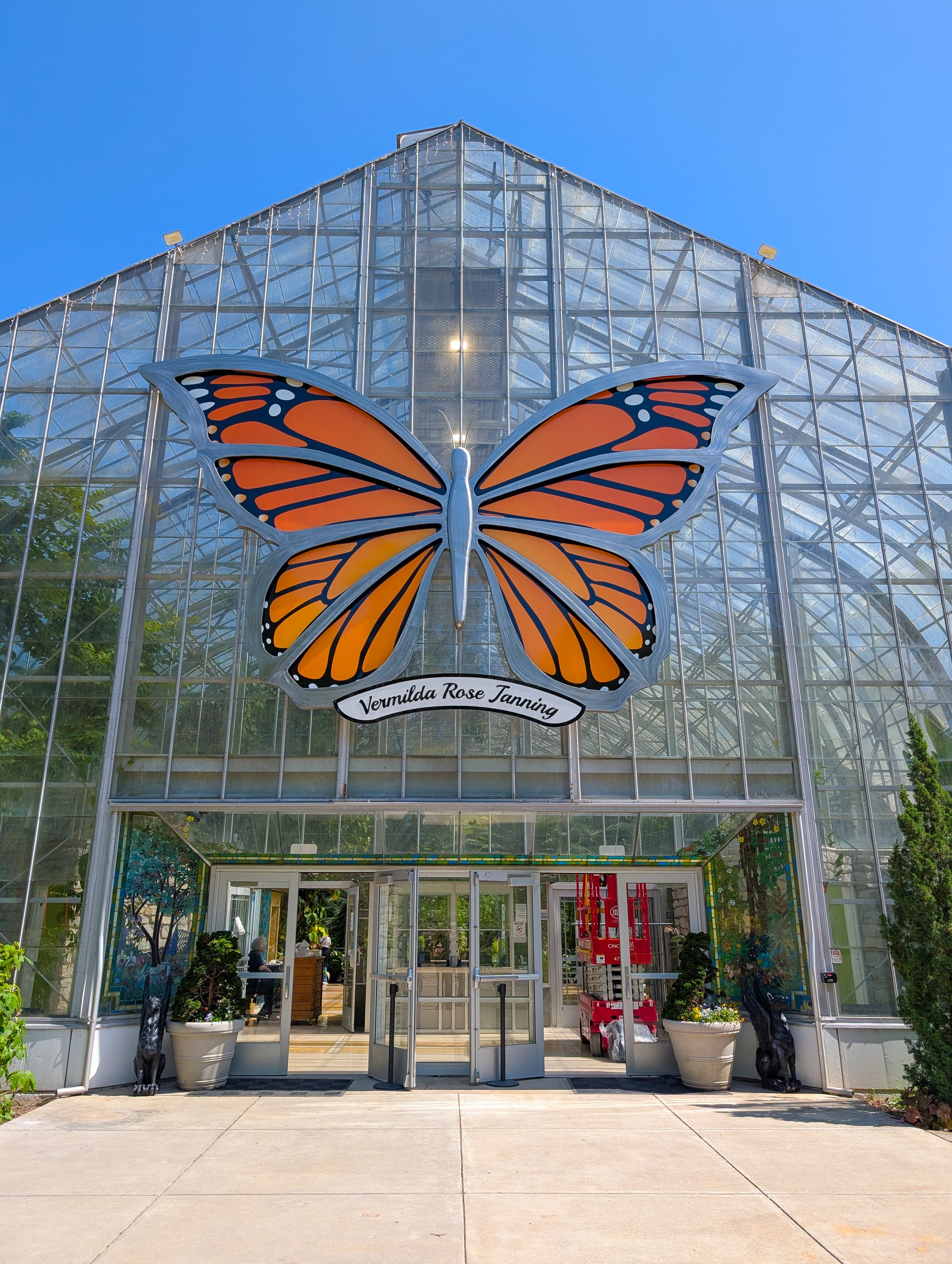 Butterfly - Final.jpg