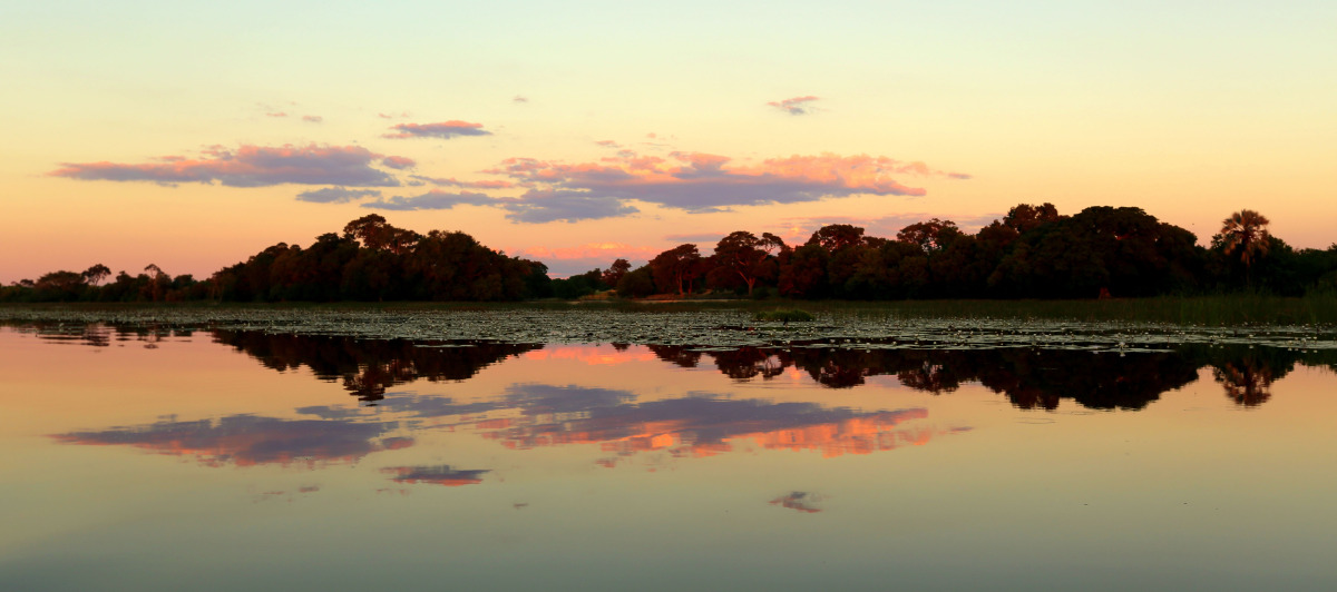 okavango delta.jpg