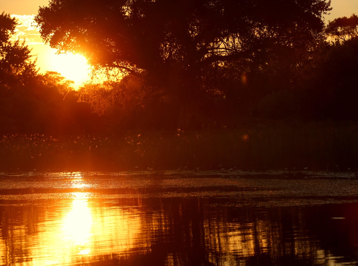 okavango sunset.jpg