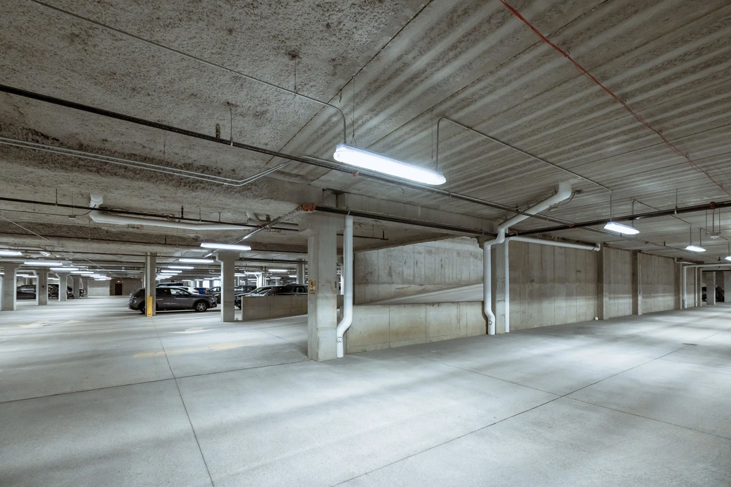 The Hive 0016.jpg