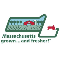 logo_Massgrown.png