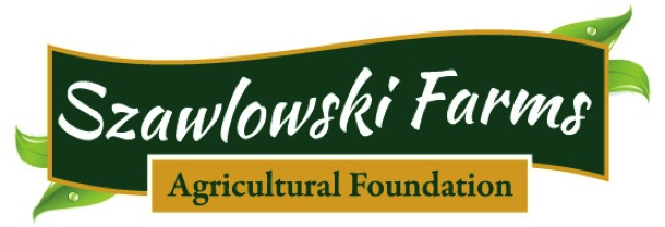 foundation logo.png