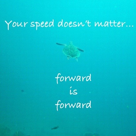 Forward is forward 
_
_
_
_
#neurorehabphysio #neurology #rehab #rehabilitation #movingforward #forwardisforward #progress #physiotherapy #braininjury #stroke #motivation