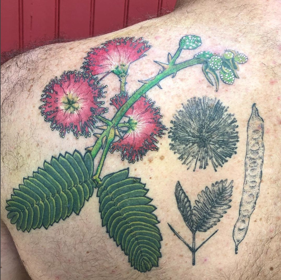 botanical tattoo.png