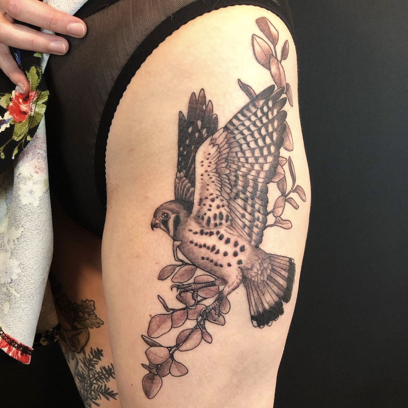 another hawk tattoo.png