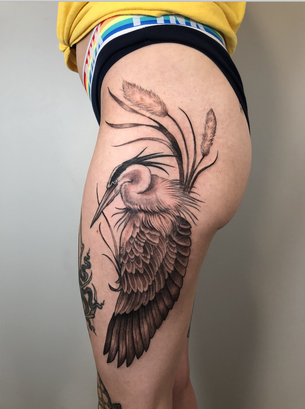 heron tattoo too.png