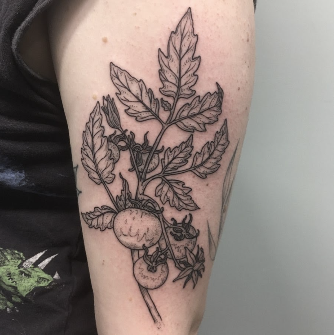 Top 100 Best Tomato Tattoos For Women  Plant Design Ideas