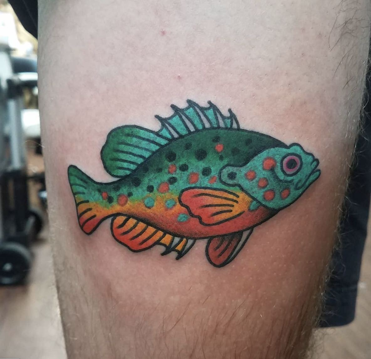 fish tattoo.png
