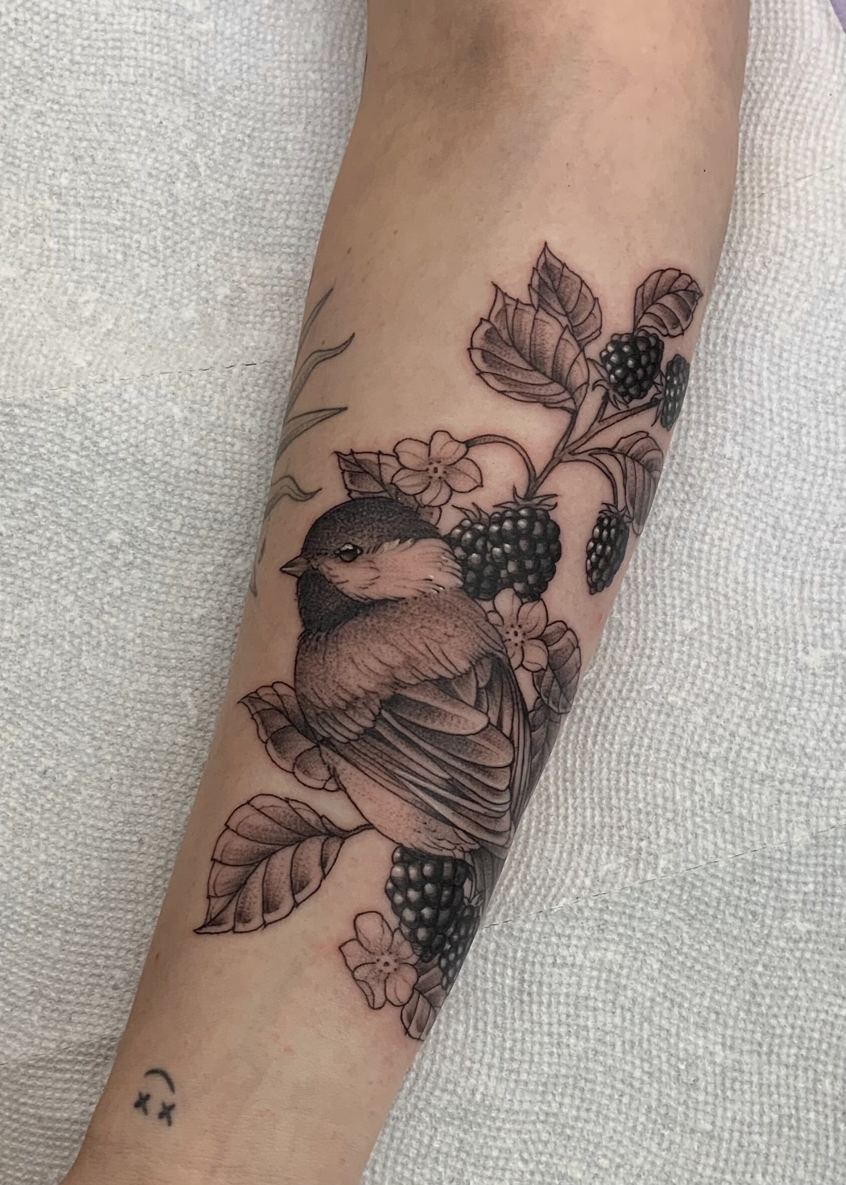 bird tattoo.jpeg