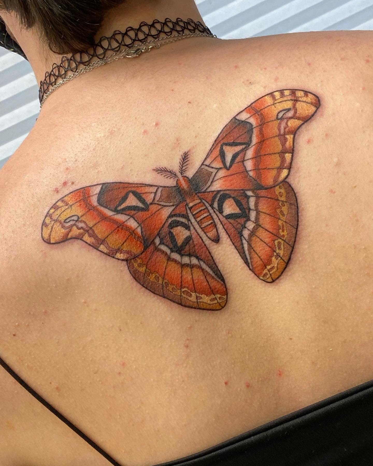 moth tattoo.jpeg
