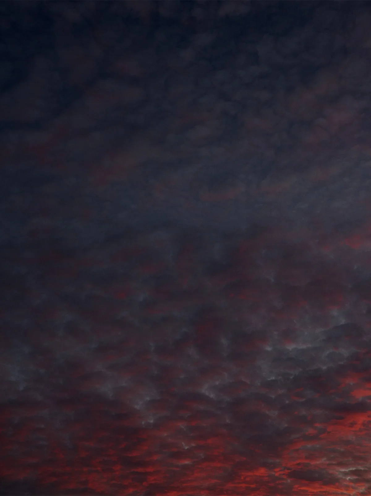 CG_016_709_sq.jpg